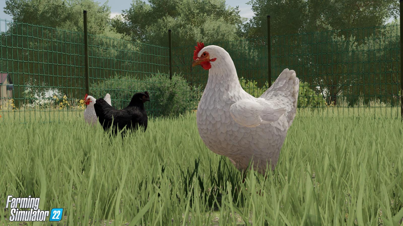 Farming Simulator 22 chickens 2