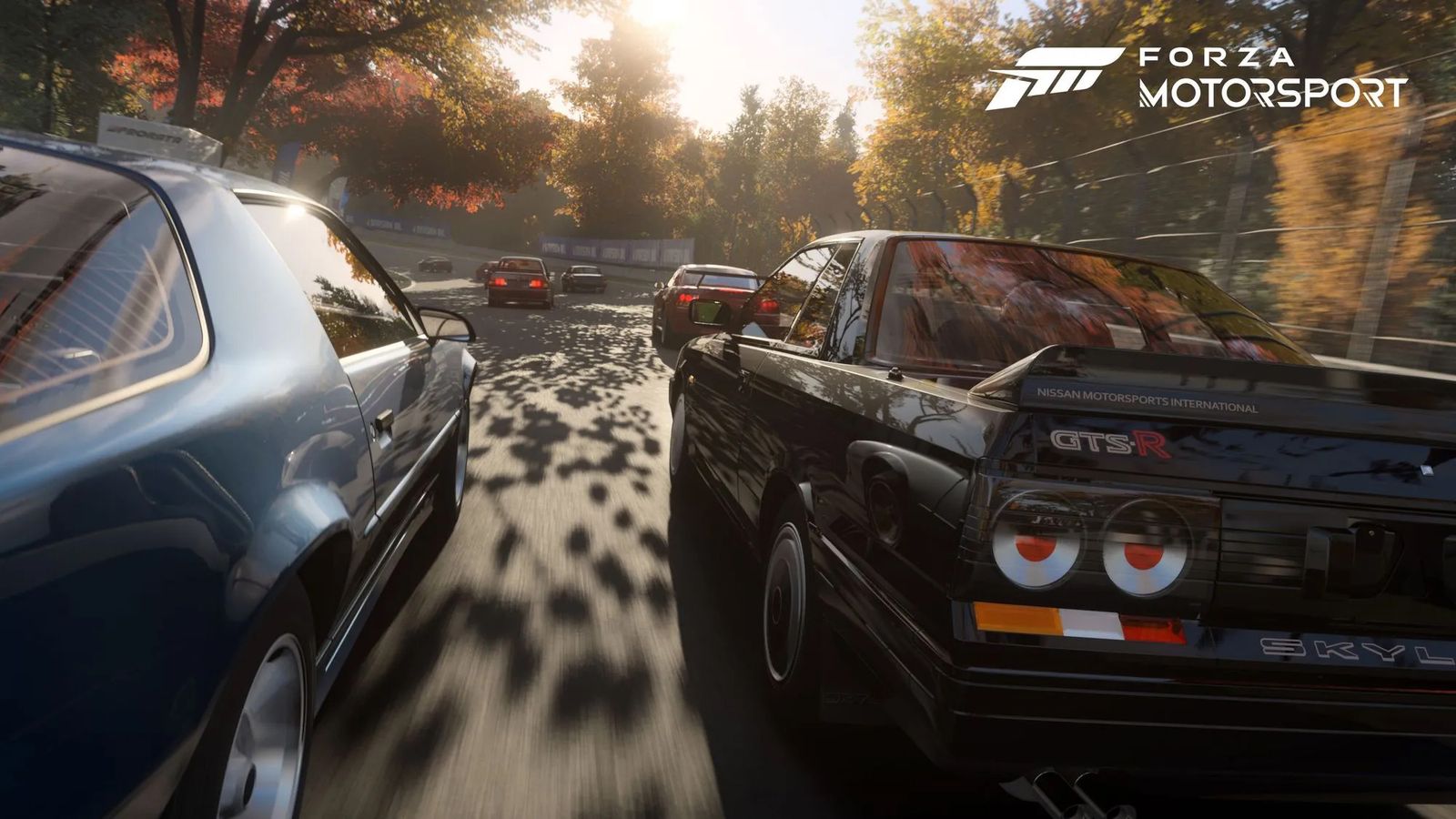 Forza Motorsport split screen