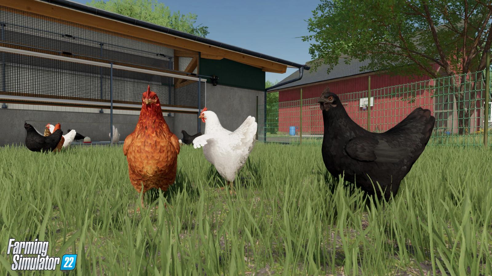 Farming Simulator 22 chickens
