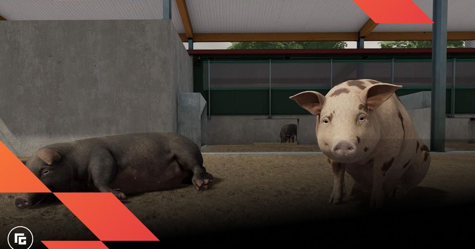How To SEE When Your Pigs Are Ready For Sale!, Ranch Simulator