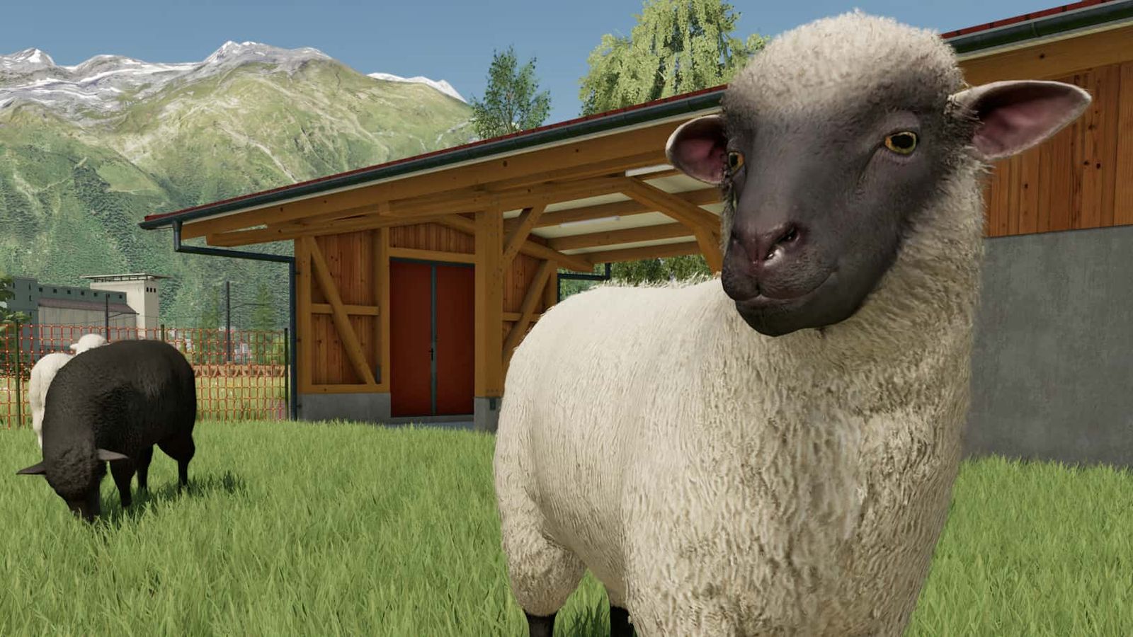 Farming Simulator 22 Complete Guide To Sheep Caring Making Money