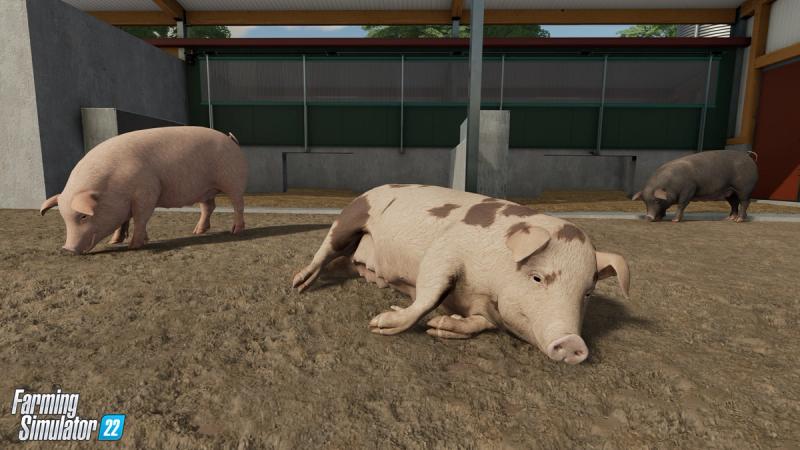 BUILDING A BARN AND GETTING PIGS, Ranch Simulator