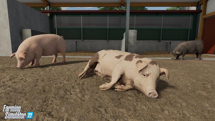 Farming Simulator 22 pigs